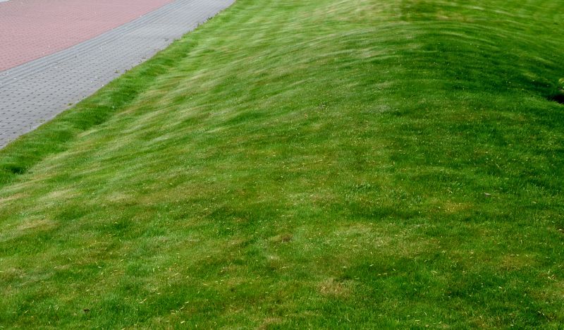 Yard Repair