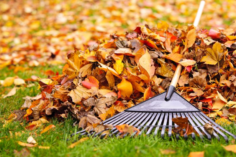 Cleaning up Fallen Leaves
