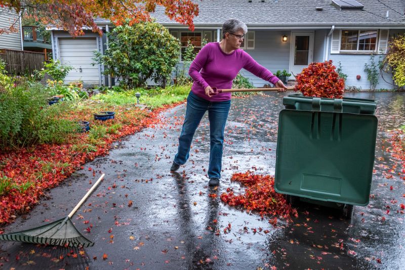 Fall Yard Preparation