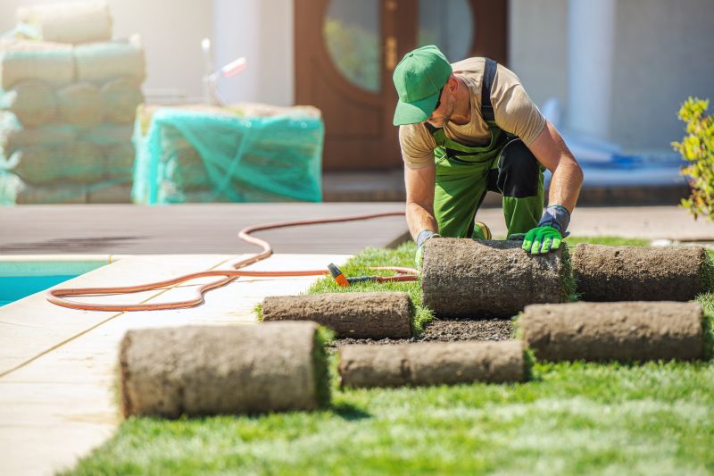 How Professional Landscaping Improves Curb Appeal