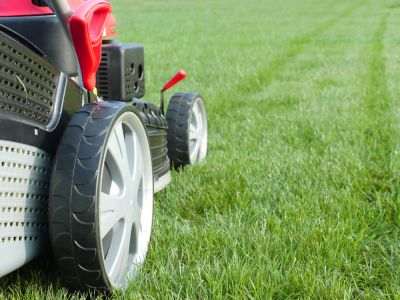 Yard Grass Cutting