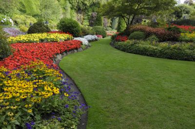 Park Landscape Maintenance in Honolulu, HI